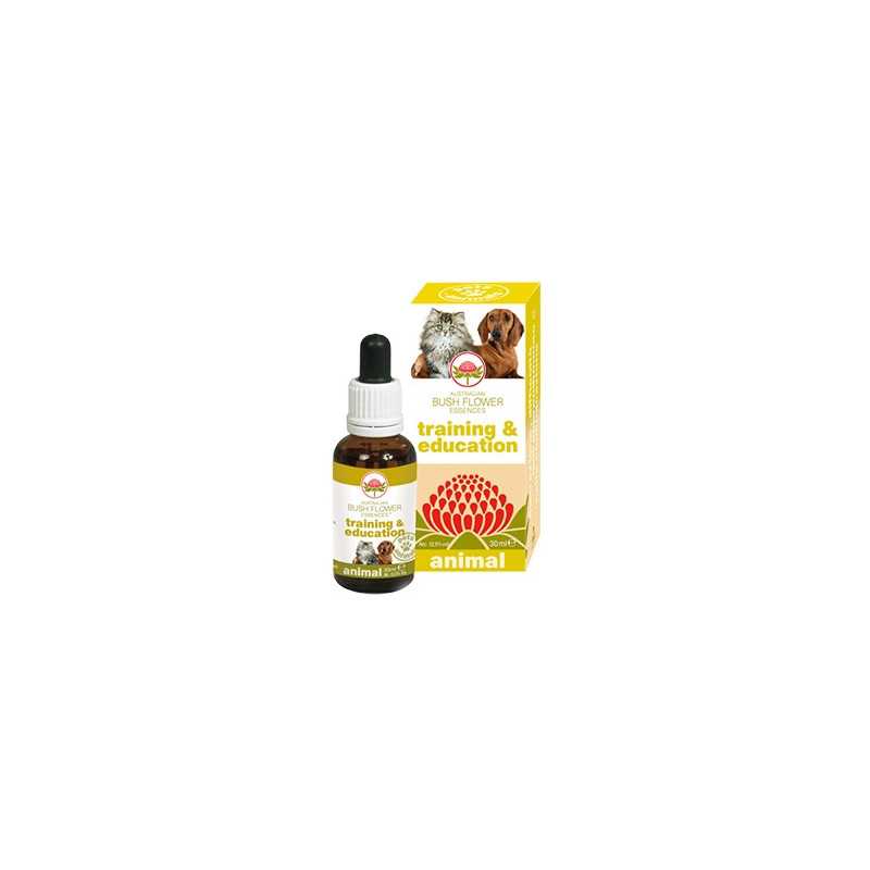 GREEN REMEDIES SPA Training et Education 30 ml. GREEN REMEDIES SPA Training et Education 30 ml.