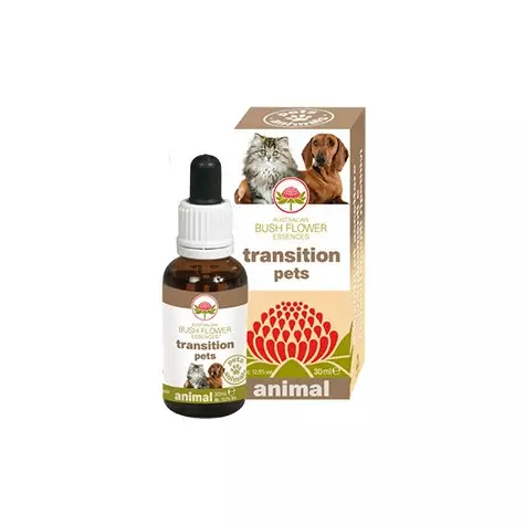 GREEN REMEDIES SPA Transition Pets 30 ml.
