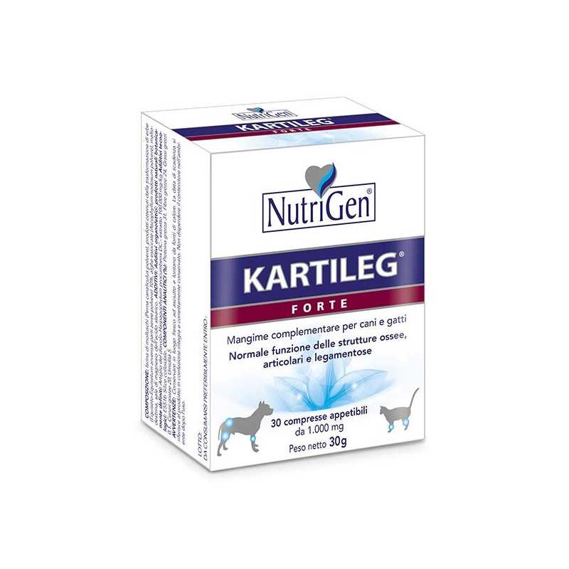 NUTRIGEN Kartileg Forte (60 comprimés. 1 g.) NUTRIGEN Kartileg Forte (60 comprimés. 1 g.)