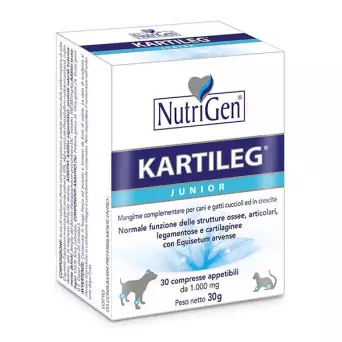NUTRIGEN Kartileg Junior (60 tablets of 1 gr.)