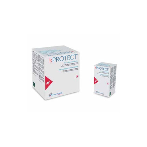 PHARMACROSS KProtect Chewable / 120 tablets