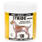 TRM Stride-Powder 150 ml.