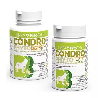 TREBIFARMA Condrophyto Tabletten Maxi Tablet (60 Tabletten von 1 gr.)