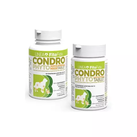 TREBIFARMA Condrophyto Compresse Maxi Tablet (60 cpr. da 2 gr.) - 