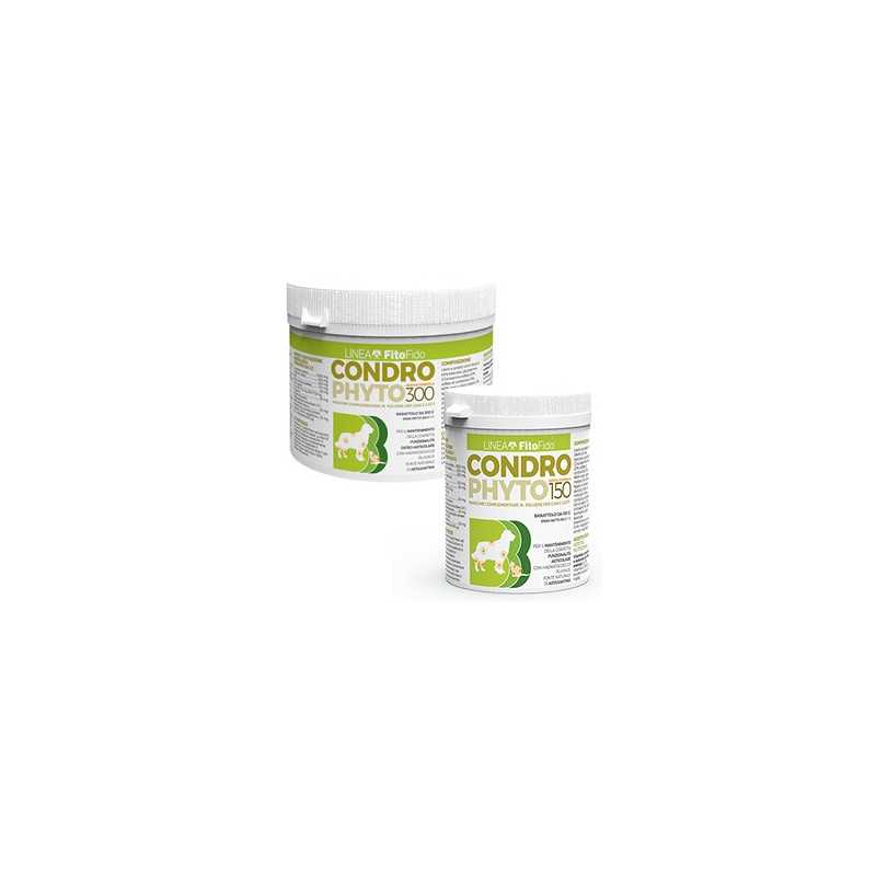TREBIFARMA Condrophyto Polvere 300 g.