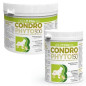 TREBIFARMA Condrophyto Polvere 300 g.