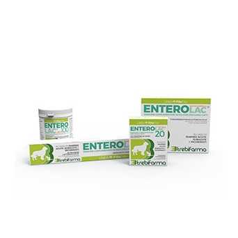 TREBIFARMA Enterolac Polvere 100 gr. -