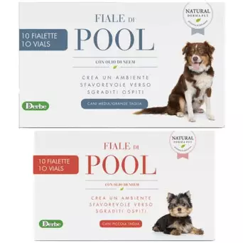 DERBE Pool Fläschchen 10 Fläschchen à 8 ml.