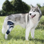 BALTO Ligatek Knee Brace (Size XL - Left)