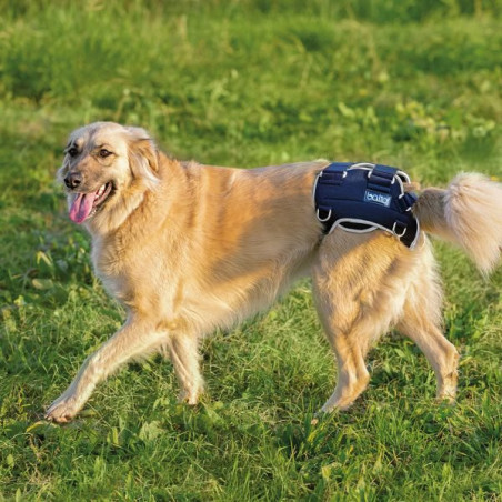 BALTO BT Life Brace für Hüftdysplasie, Größe XL -