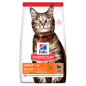 HILL'S Science Plan Adult Medium avec Agneau 300 g.