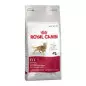 ROYAL CANIN Fit 32/400 gr.