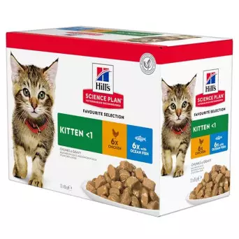 HILL'S Science Plan Multi-Flavour Kitten mit Huhn und Seefisch 12x85 gr.