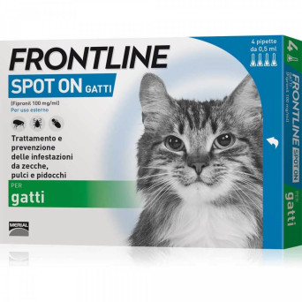 Conciërge Net zo jongen Frontline spot on cats 4 pipettes 0.5 ml