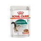 ROYAL CANIN Instinctive + 7 in Salsa 85 gr