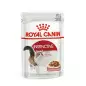 ROYAL CANIN Instinctive in Salsa 85 gr. ROYAL CANIN Instinctive in Salsa 85 gr.