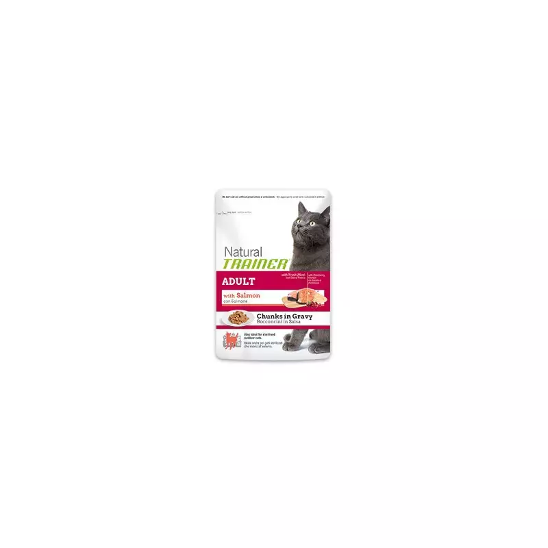 TRAINER Natural Adult Salmon Chunks 85 gr.