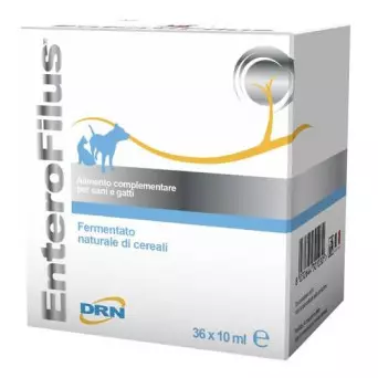 DRN Enterofilus-Durchstechflaschen 36 Durchstechflaschen mit 10 ml.