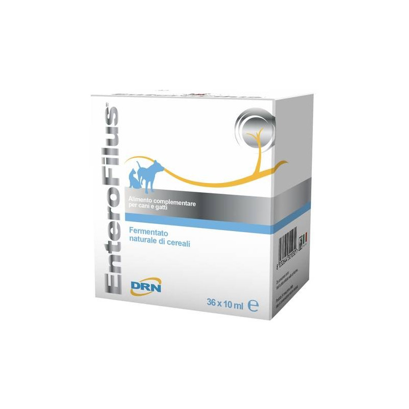 DRN Enterofilus ampoules 36 ampoules 10 ml DRN Enterofilus ampoules 36 ampoules 10 ml
