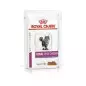 Royal Canin Nierenkatze Huhn 12 x 85 gr nass Royal Canin Nierenkatze Huhn 12 x 85 gr nass