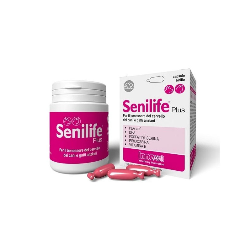 Innovet - Senilife Plus 30 comprimés Innovet - Senilife Plus 30 comprimés