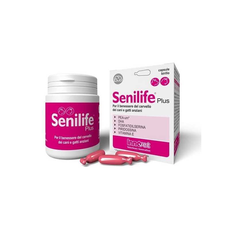 Innovet - Senilife Plus 60 comprimés Innovet - Senilife Plus 60 comprimés