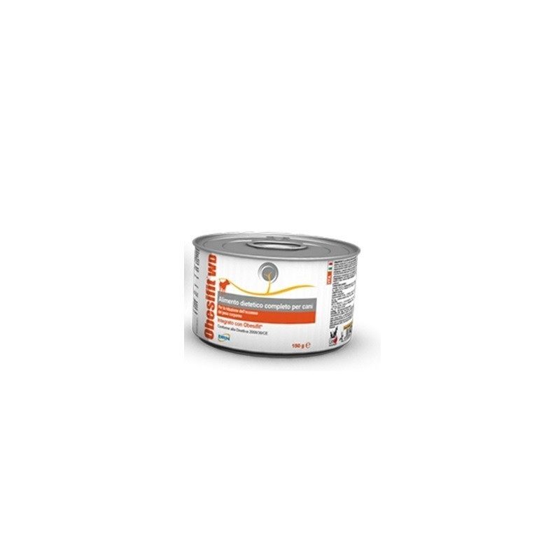 Drn obesifit wet diet 150 g