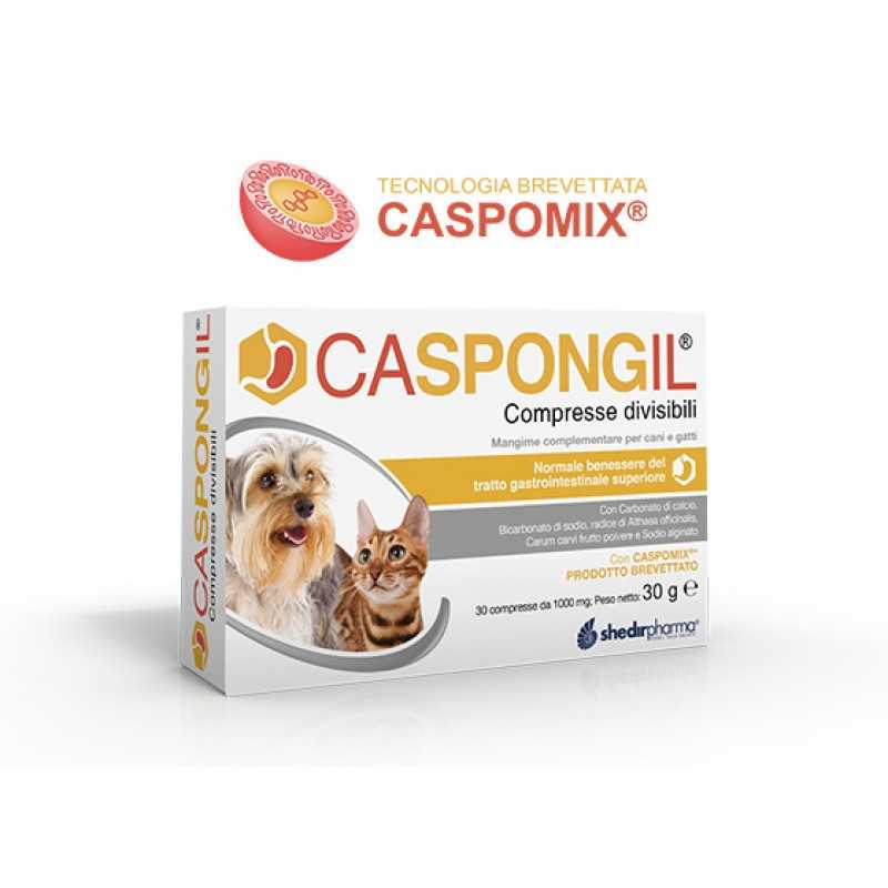 Shedir-Farma Caspongil 30 comprimés Shedir-Farma Caspongil 30 comprimés