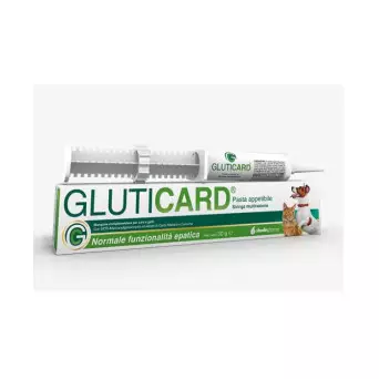 Shedir-Farma Gluticard 30 g multiraction syringe.