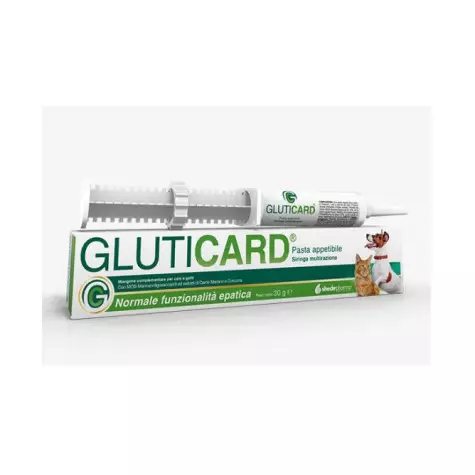 Shedir-Farma Gluticard 30 g multiraction syringe.