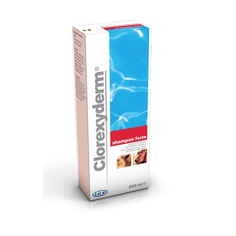 Icf clorexyderm shampo forte 200 ml -