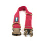 FARM COMPANY GREEN Eco-friendly Collar for Dogs in Soy Fiber RED Color Size L