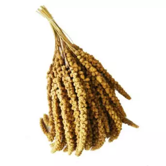 ALI' SEEDS Panic Wings in Ears 250 gr.