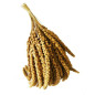 ALI' SEEDS Ali Panico in Spighe 250 g.