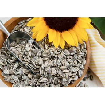 ALI' SEEDS Ali Semi di Girasole Grande 500 gr. -