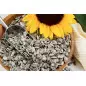 ALI' SEEDS Ali Large Sunflower Seeds 500 gr.