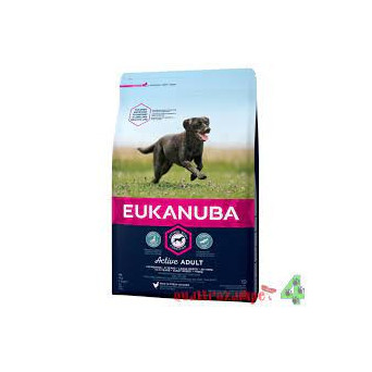 Eukanuba Adult Large Breed 12 Kg