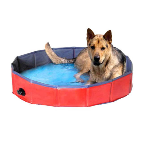 CAMON Doggy Pool Piscina per Cani ø 160 x H 30 cm - 