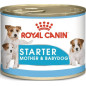 Royal canin starter mousse mother and babydog 195 g