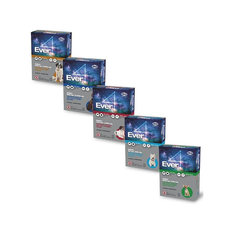 Slais - Ever4 Spot-On pour Chiens Taille M | 10 20 kg Slais - Ever4 Spot-On pour Chiens Taille M | 10 20 kg