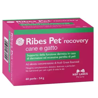 NBF Lanes Ribes Pet Recovery 60 pearls - 