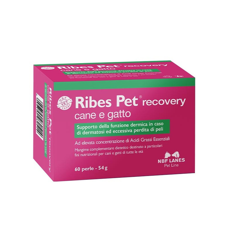 NBF Lanes Ribes Pet Recovery 60 capsules NBF Lanes Ribes Pet Recovery 60 capsules