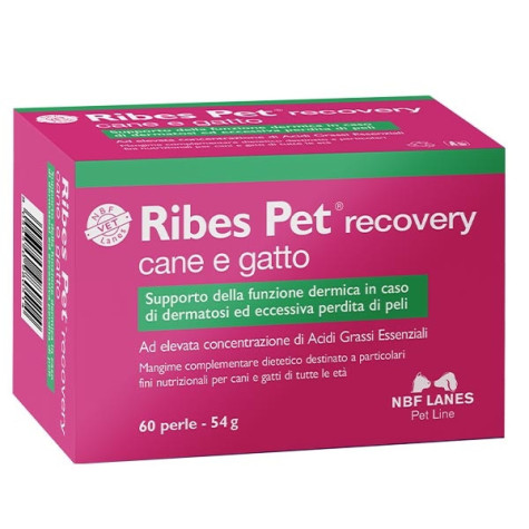 NBF Lanes Ribes Pet Recovery 60 pearls - 
