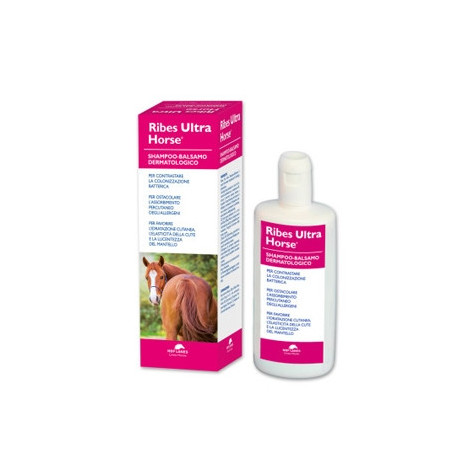 NBF LANES Ribes Ultra Horse Dermatological Shampoo-Balm 1 lt. - 
