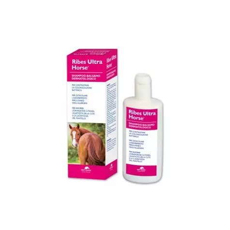 NBF LANES Ribes Ultra Horse Dermatologisches Shampoo-Balsam 1 lt. - 