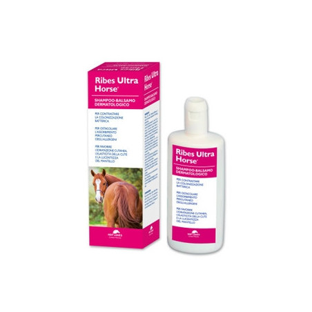 NBF LANES Ribes Ultra Horse Dermatological Shampoo-Balm 1 lt. - 