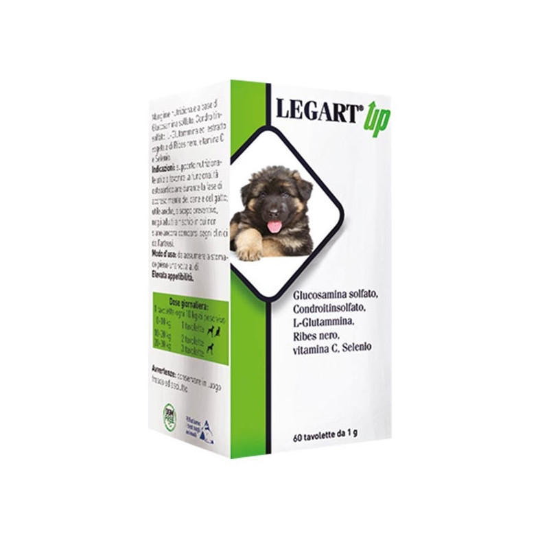 Aurora biofarma legart up 60 comprimés 1 g