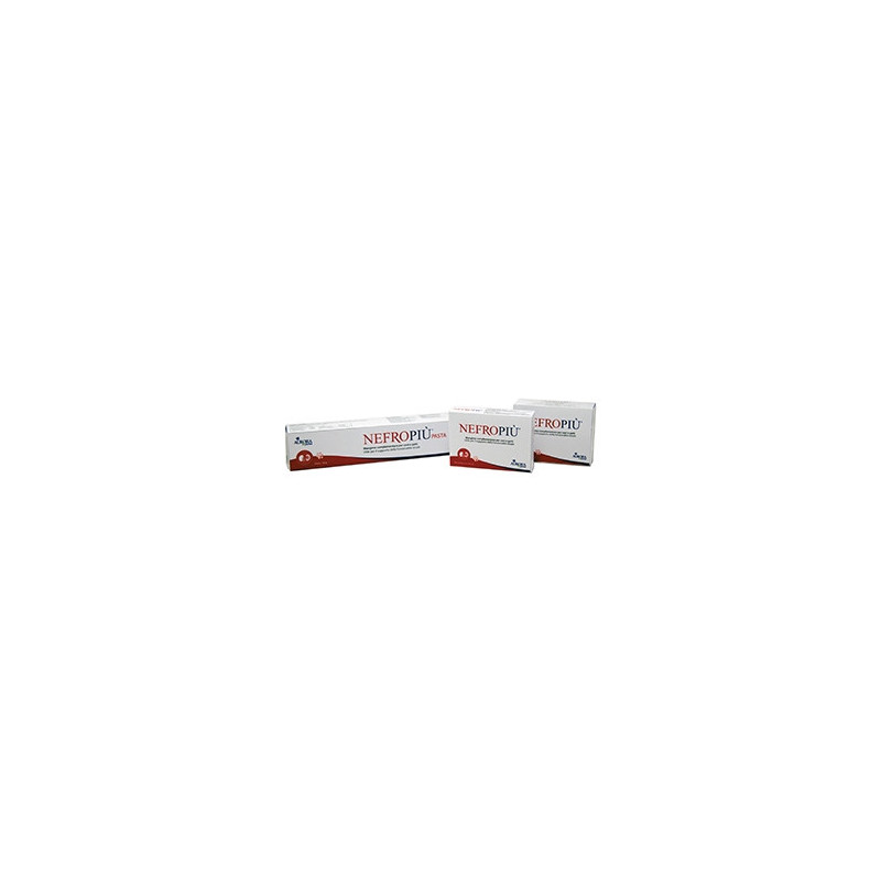 Aurora biofarma nefropiu 60 comprimés 1 g Aurora biofarma nefropiu 60 comprimés 1 g