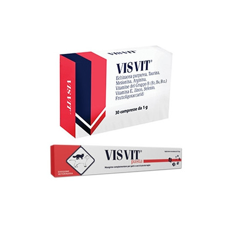 AURORA BIOFARMA visvit pasta - syringe 15 gr - 