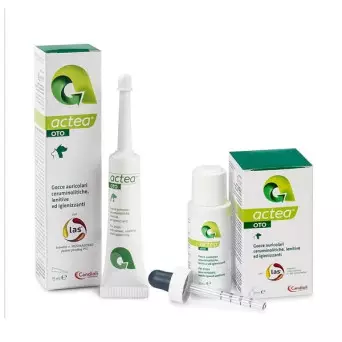 CANDIOLI actea Ohrentropfen 15 ml - 